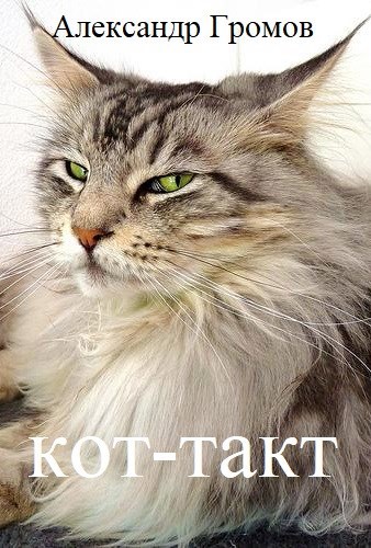 Кот-такт