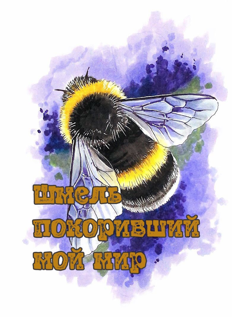 Шмель покоривший мой мир