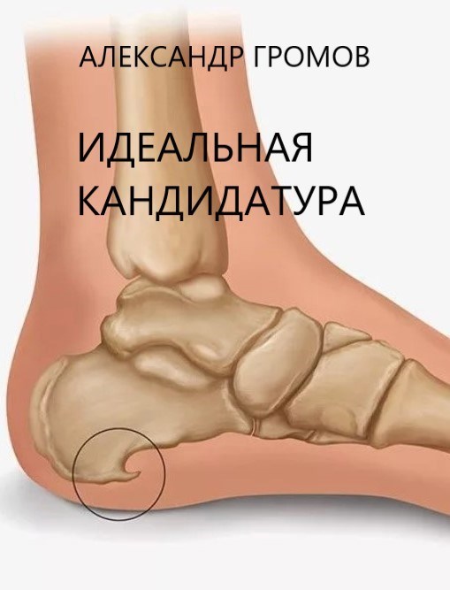 Идеальная кандидатура