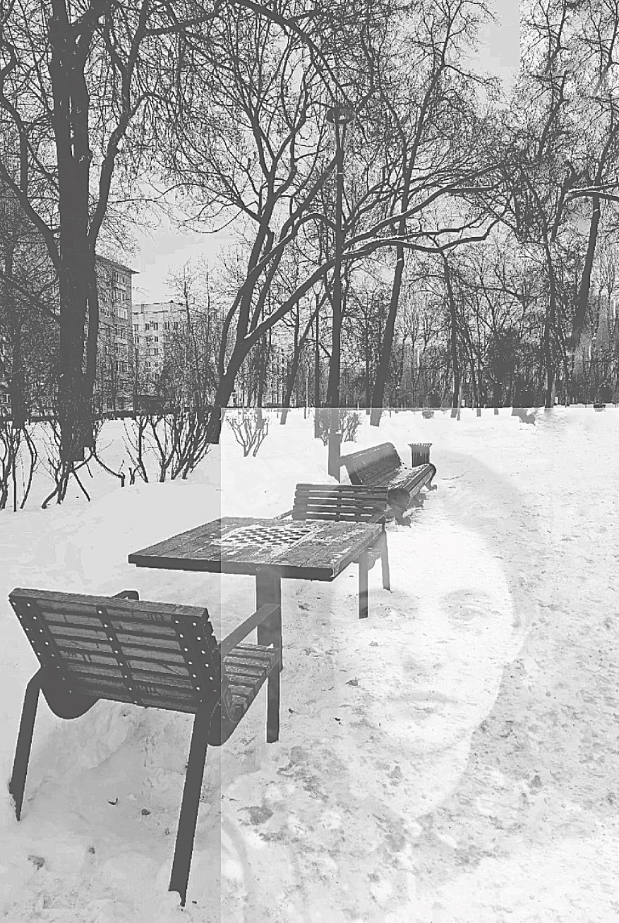 Бойцовский клубок