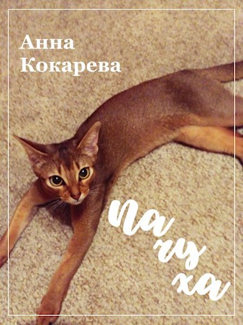 Пачуха