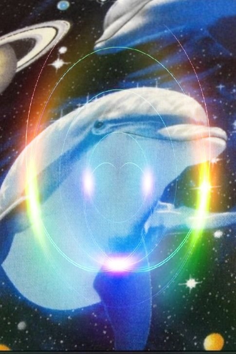 Космический дельфин