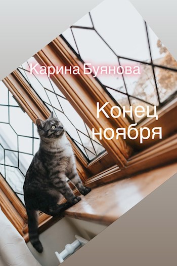 Конец ноября
