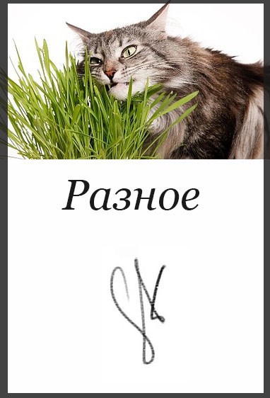 Разное