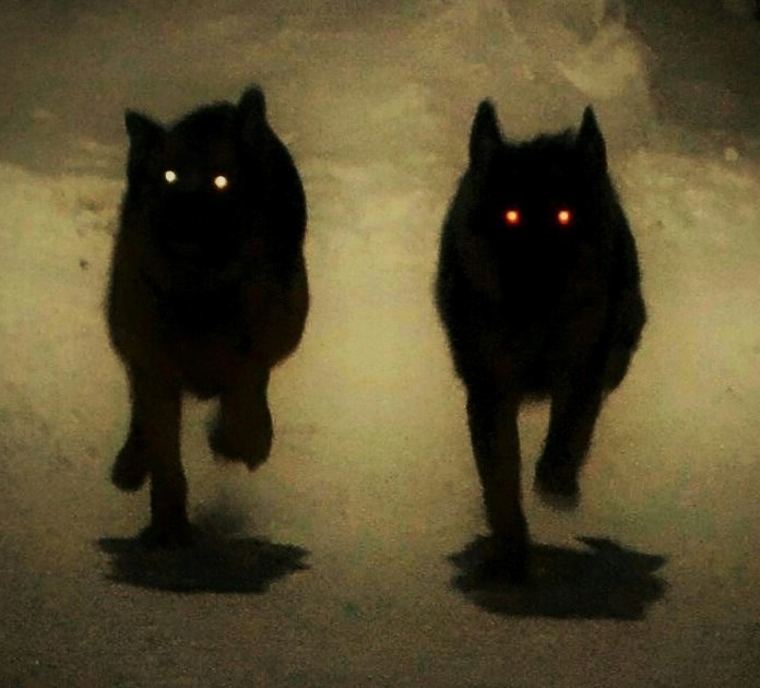 13 лет спустя