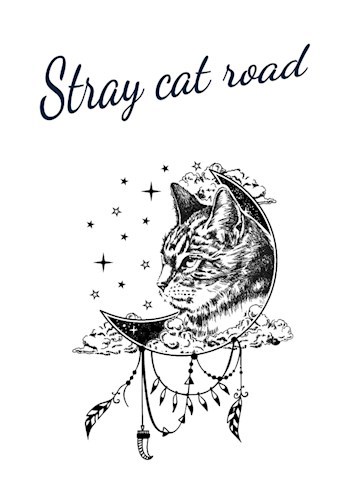 Stray cat road / Дорога бродячей кошки