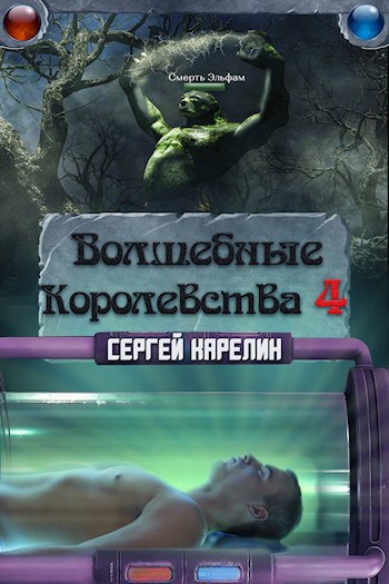 Волшебные Королевства 4