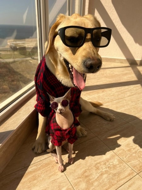 Дени и Мэни