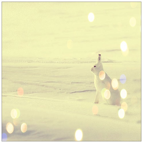 Снежный праздник