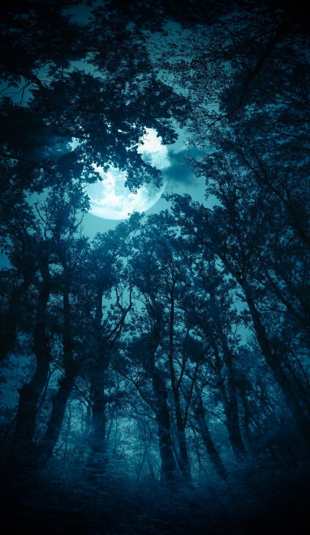 По первому снегу