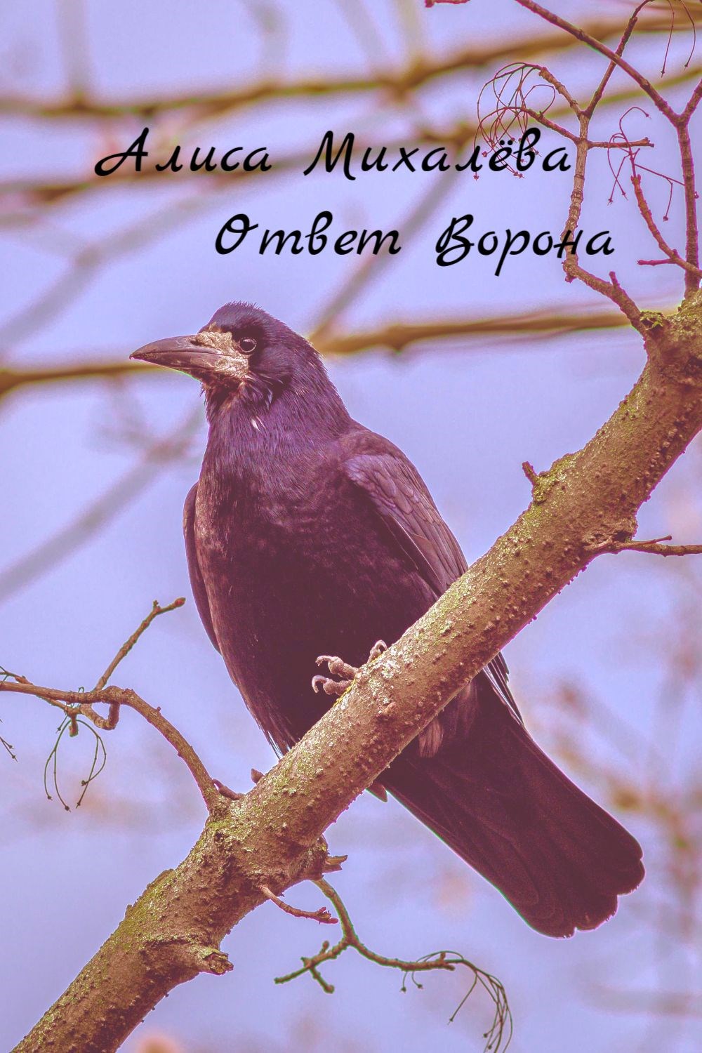 Ответ Ворона