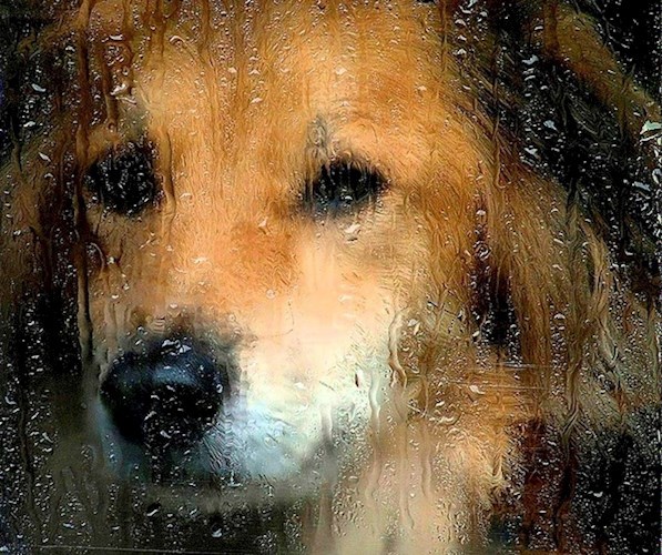 За сто первый километр