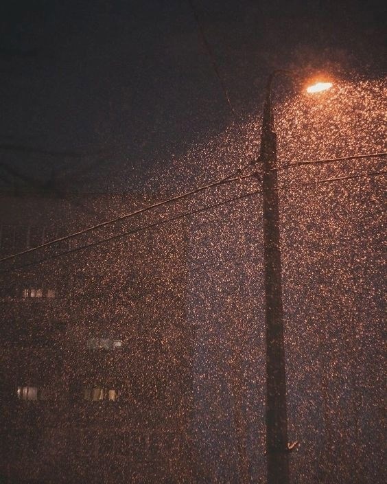 Тень Рождества