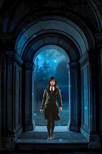 Роза ветров