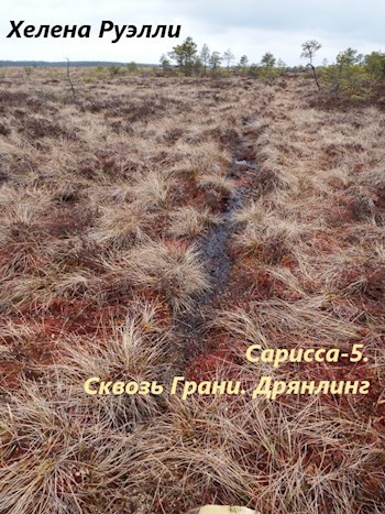 Сарисса-5. Сквозь Грани. Дрянлинг