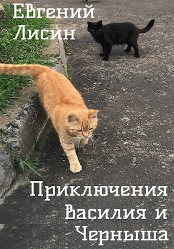 Приключения Василия и Черныша