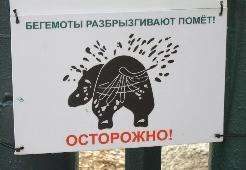 Тазик и ложка