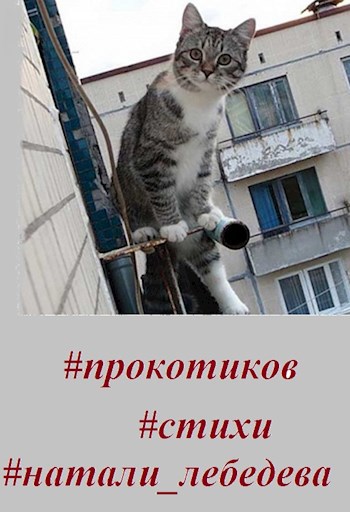 #прокотиков