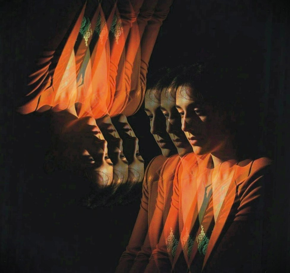 Геометрия одиночества дилемма дикобраза как экзистенциальный проект