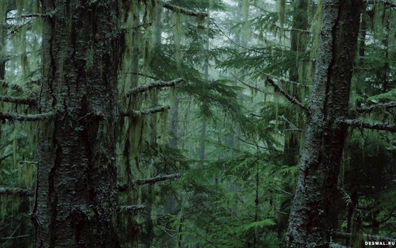 Желание жить.