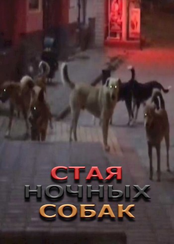 Стая ночных собак