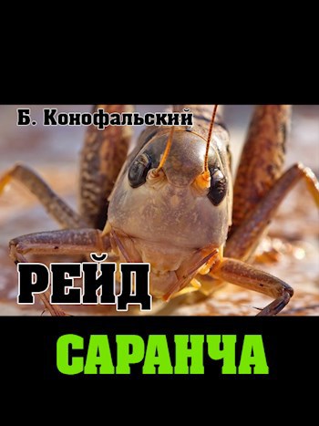 РЕЙД. САРАНЧА. Книга вторая.