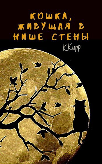 Кошка, живущая в нише стены