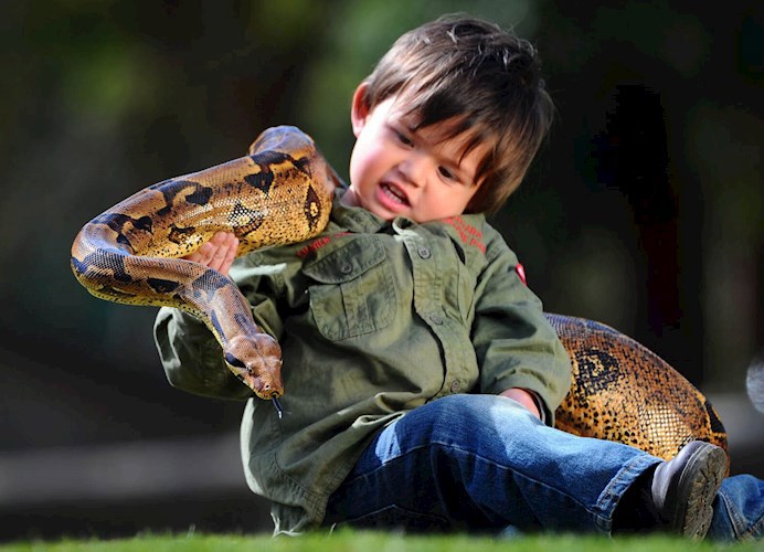 Голодный мальчик