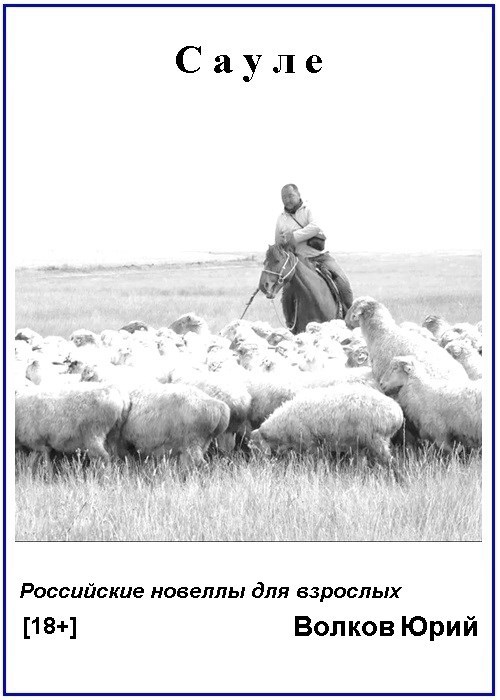 Сауле (Новеллы для взрослых)