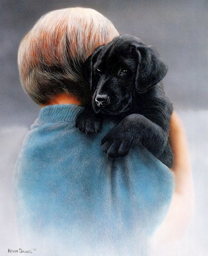 Прощальная прогулка