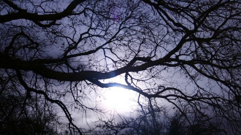 Меланхолия