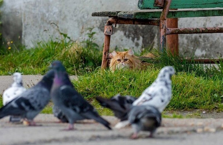 У каждого своя правда