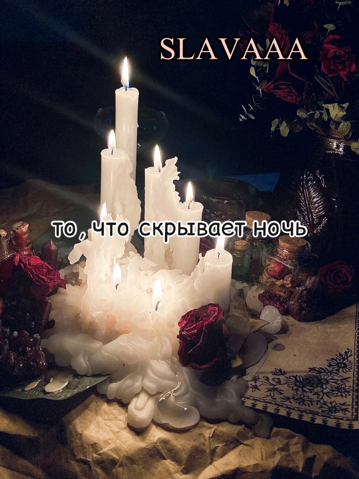 то что скрывает ночь