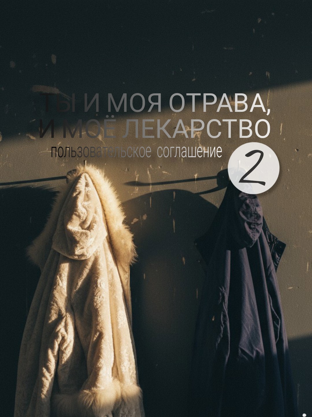 Ты и моя отрава и моё лекарство Пользовательское соглашение.