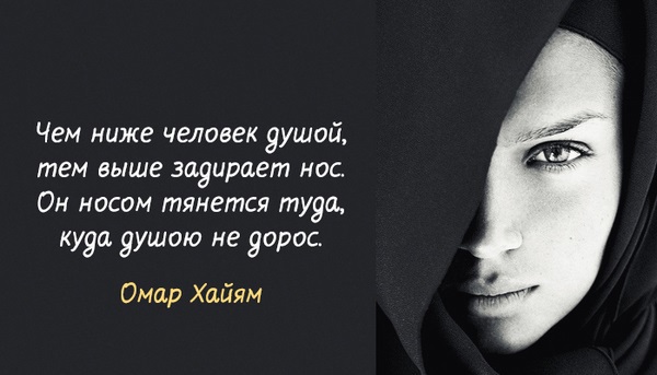 Всегда Поэту жизни мало