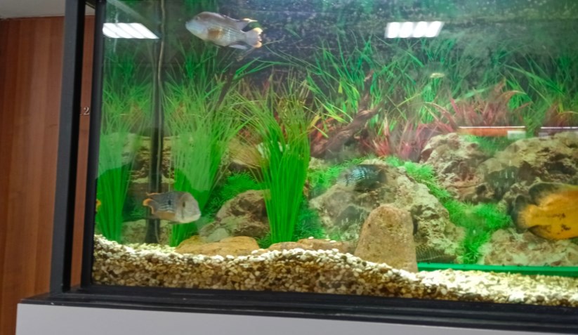 Да всем плевать