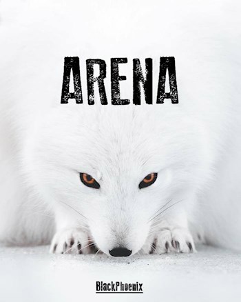 &#171;ARENA&#187;