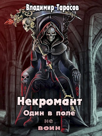 Некромант. Война. Книга 6.