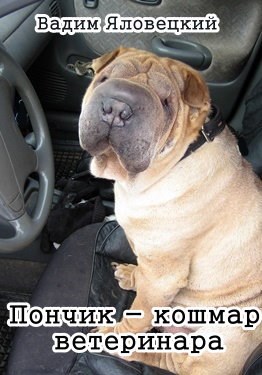 Пончик кошмар ветеринара