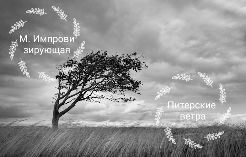 Питерские ветра.