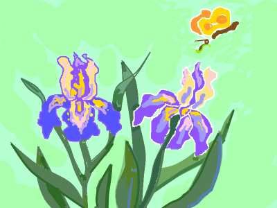 Новое хобби