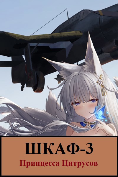 Шкаф-3