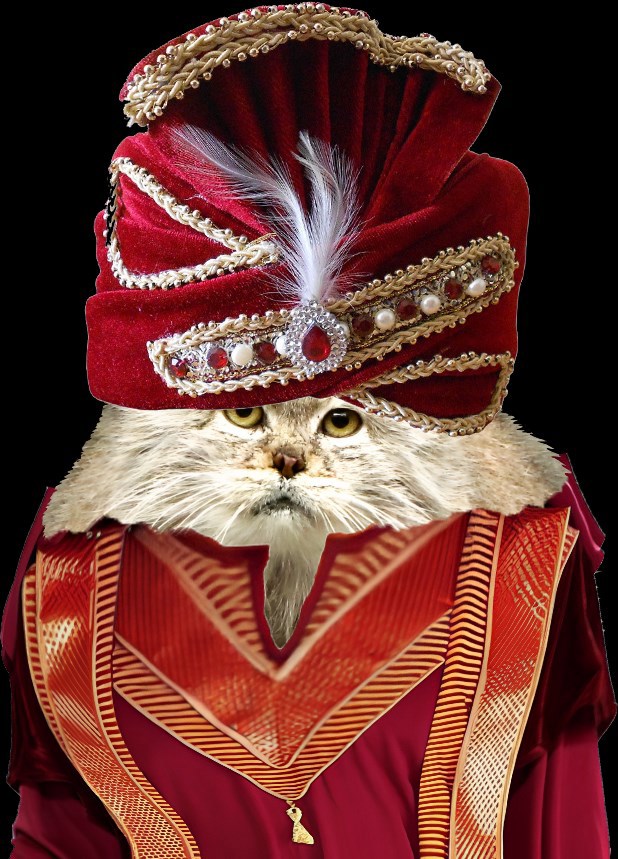 Сказка о трех желаниях Султана