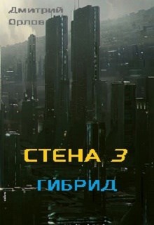 Стена 3 &quot;Гибрид&quot;