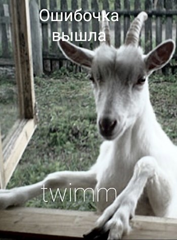 Ошибочка вышла