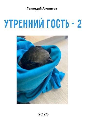 Черный стриж или утренний гость 2.