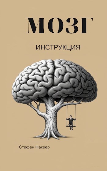 МОЗГ. Инструкция