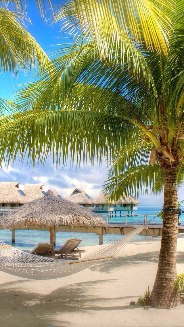 Любовный бриз