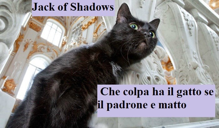 Che colpa ha il gatto se il padrone e matto