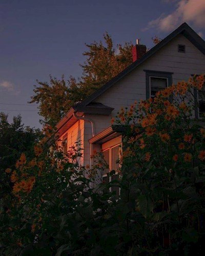 Курьер